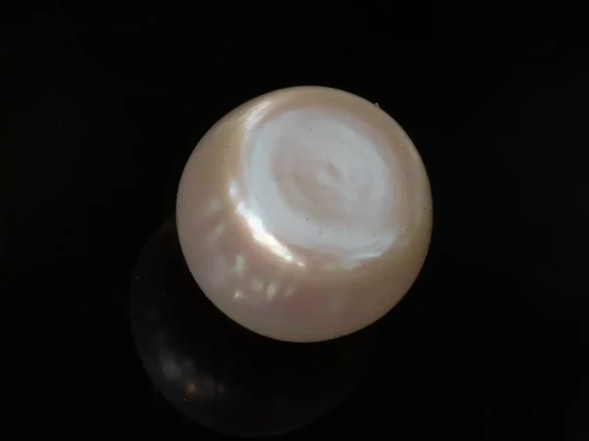 Cultured Pearl Stone (Moti Ratna) – 4.01 Carat (4.41 Ratti) - View #2