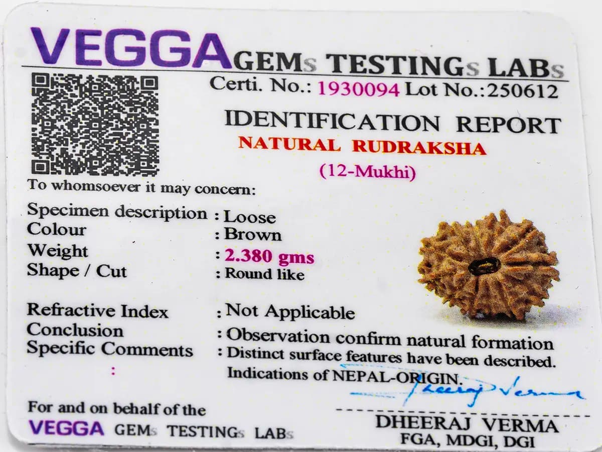 12 Mukhi Nepali Rudraksha – certificate