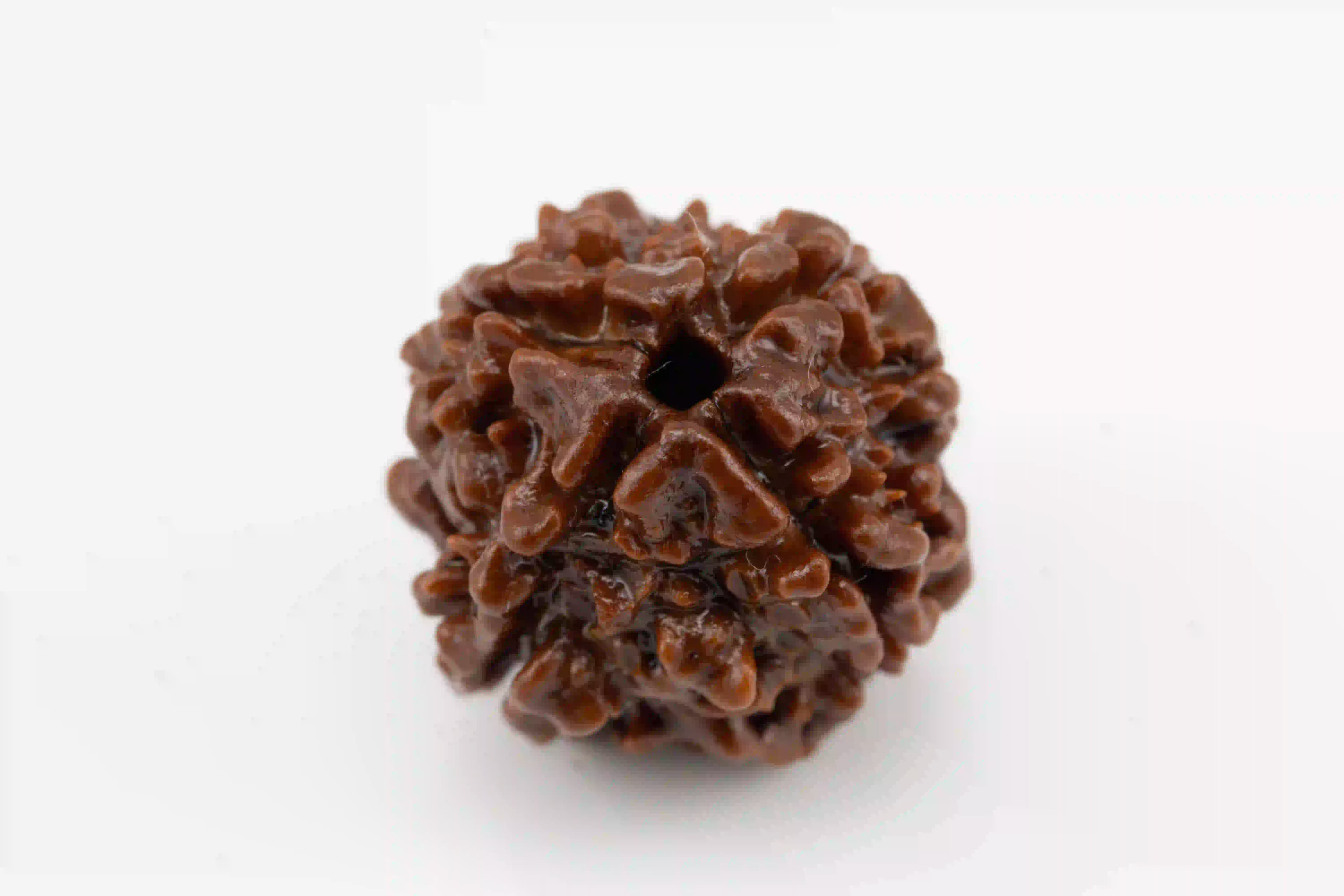Original 4 Mukhi Nepali Rudraksha bead.