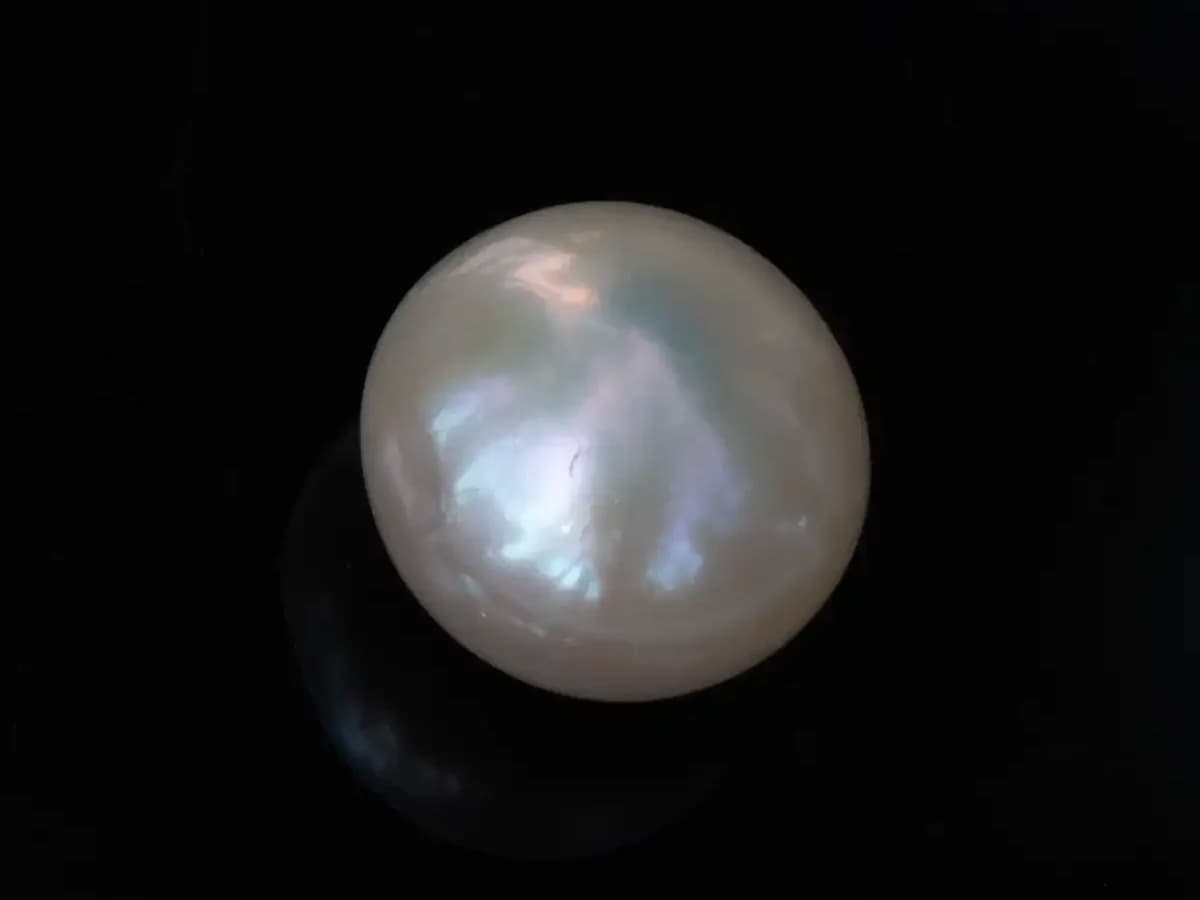 Cultured Pearl Stone (Moti Ratna) – 3.44 Carat (3.78 Ratti)