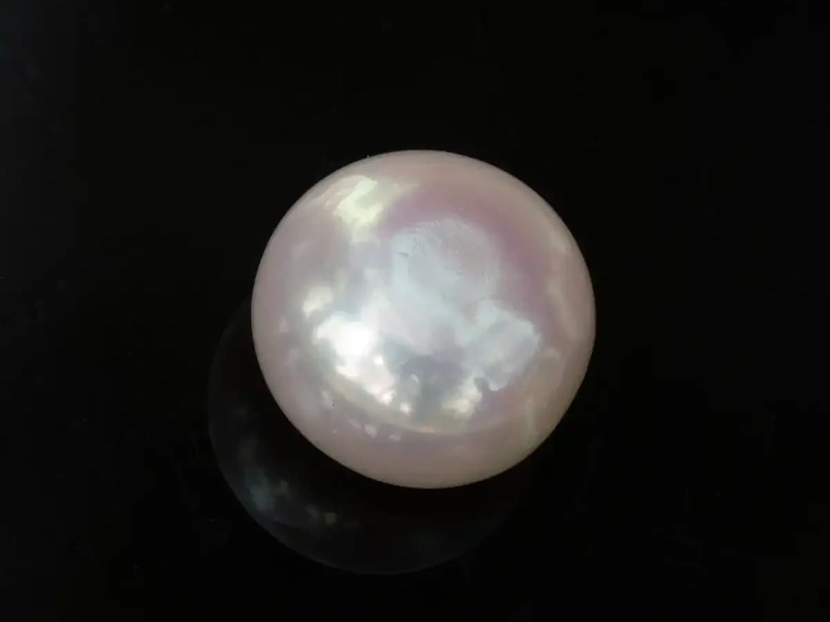 Cultured Pearl Stone (Moti Ratna) – 3.58 Carat (3.93 Ratti)