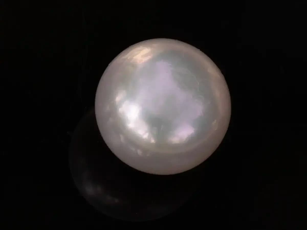 Cultured Pearl Stone (Moti Ratna) – 3.88 Carat (4.26 Ratti)