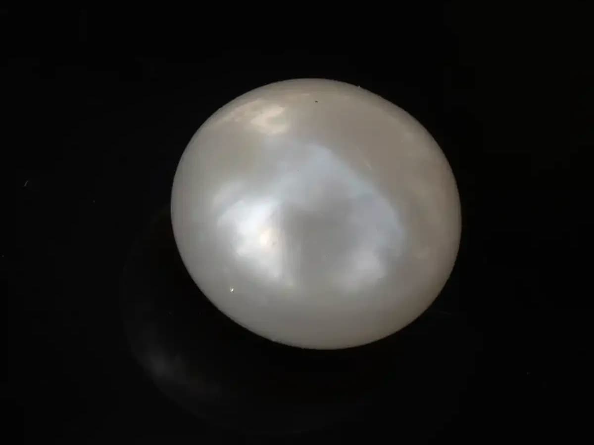 Cultured Pearl Stone (Moti Ratna) – 3.90 Carat (4.28 Ratti)