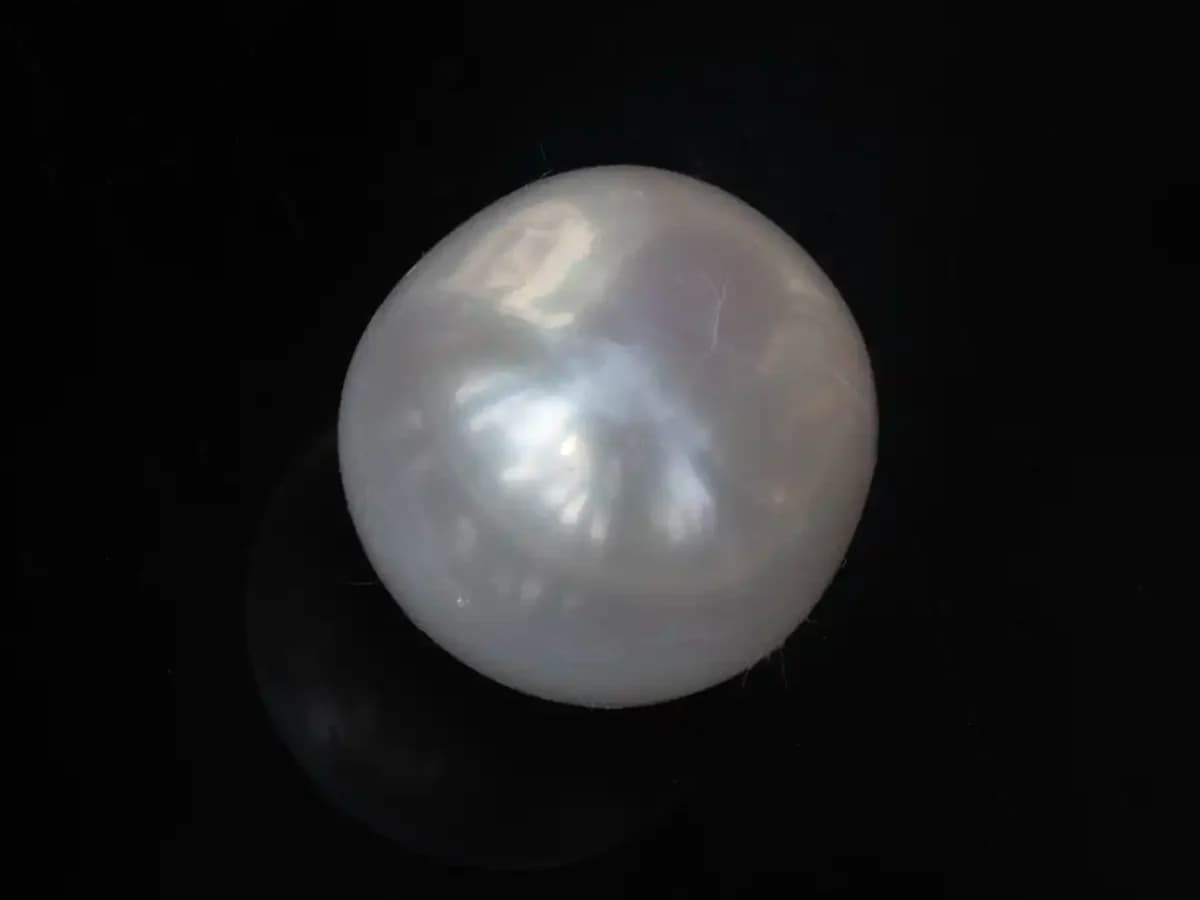 Cultured Pearl Stone (Moti Ratna) – 4.18 Carat (4.59 Ratti)