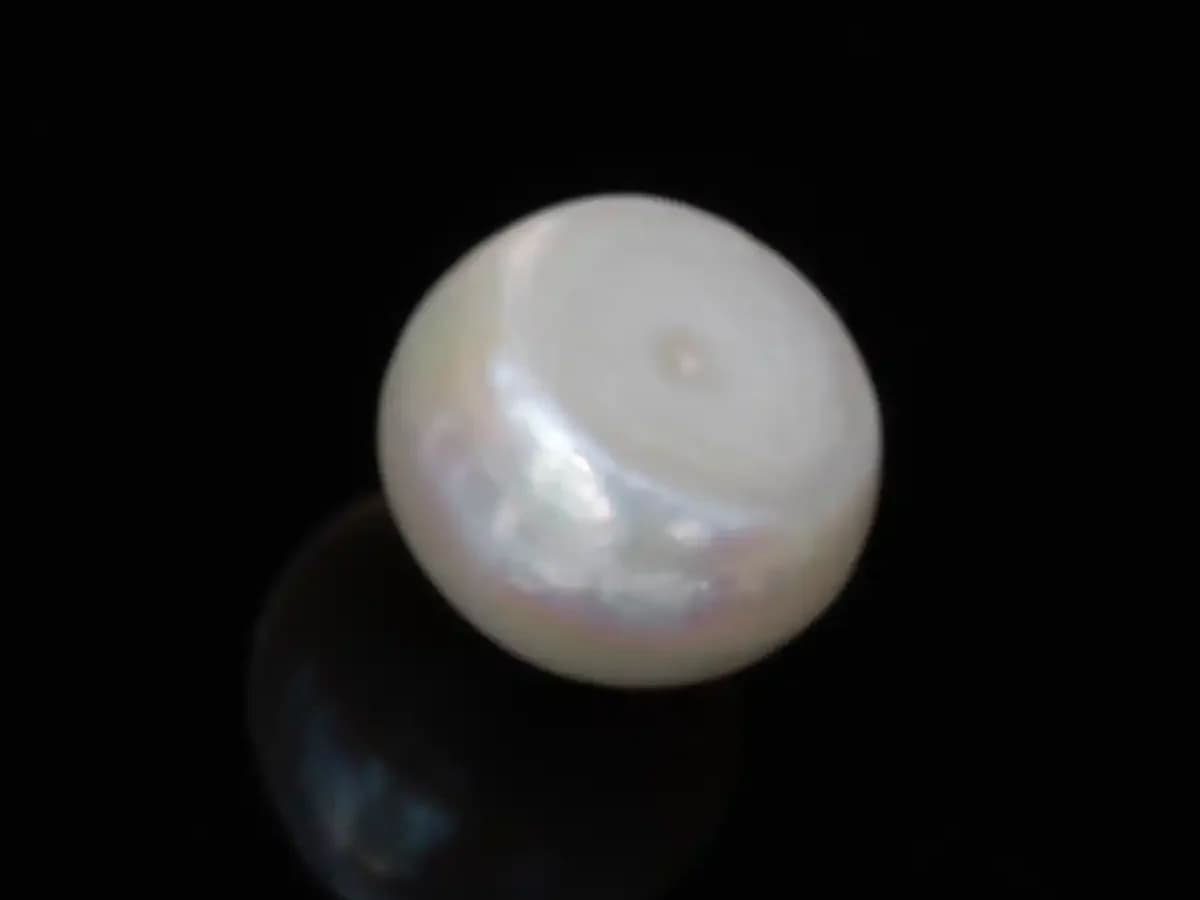 Cultured Pearl Stone (Moti Ratna) – 4.24 Carat (4.66 Ratti) - View #2