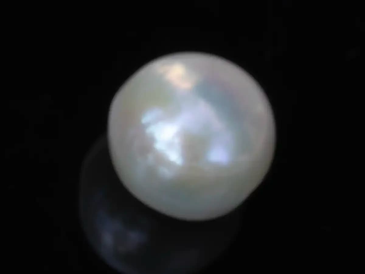 Cultured Pearl Stone (Moti Ratna) – 4.24 Carat (4.66 Ratti)