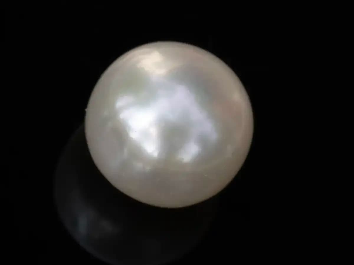Cultured Pearl Stone (Moti Ratna) – 4.26 Carat (4.68 Ratti)