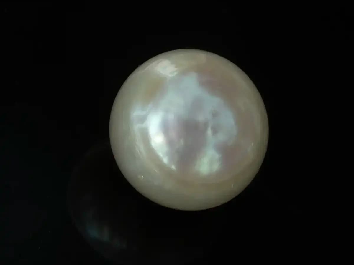 Cultured Pearl Stone (Moti Ratna) – 4.35 Carat (4.78 Ratti) - View #2
