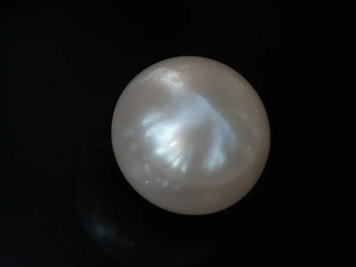 Cultured Pearl Stone (Moti Ratna) – 4.35 Carat (4.78 Ratti)