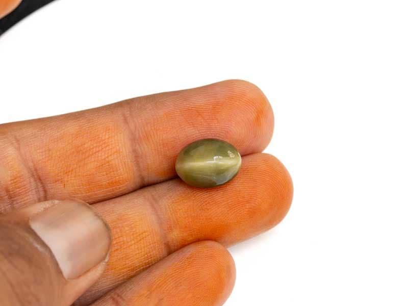 Quartz Cat's Eye (Lahsuniya) 7.81 Carat (8.58 Ratti) Cabochon - View #5