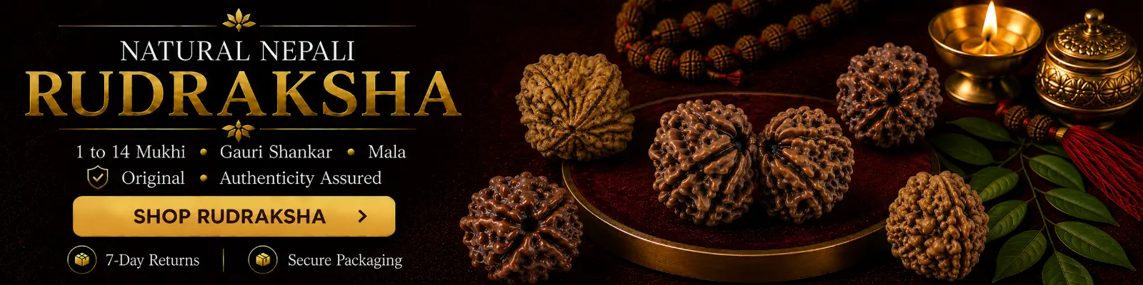 Authentic Nepali Rudraksha beads with lab report and authenticity guarantee
