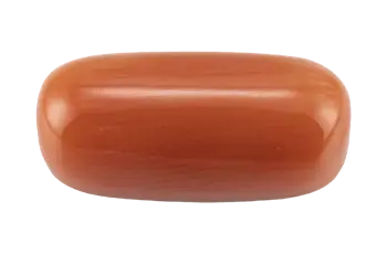 Red Coral (Moonga) Benefits