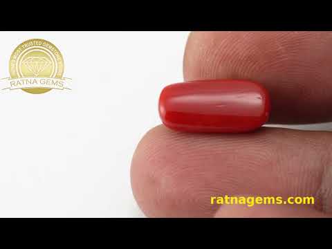 Exquisite Red Coral Oval 5.77ct - 6.34 Ratti | Explore at Ratna Gems