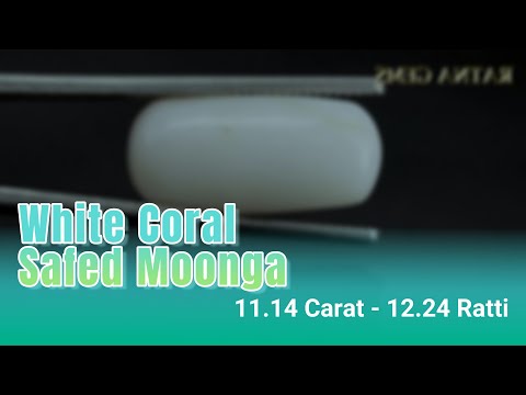 White Coral (Safed Moonga) 11.14 Carat - 12.24 Ratti | Certified Natural Moonga Stone – Ratna Gems