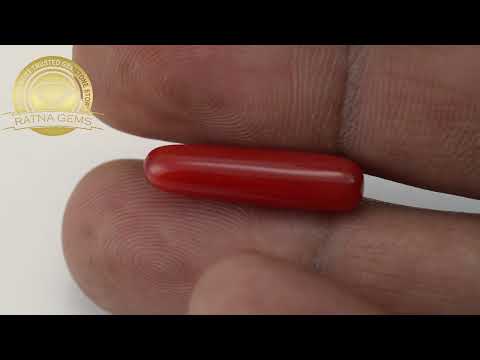 Premium Italian Red Coral 6.165ct | Certified Authentic | Ratna Gems