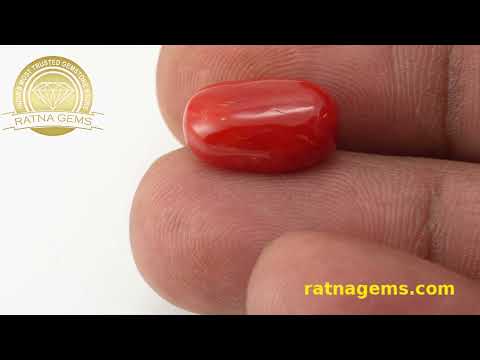 Magnificent Red Coral Oval 7.10ct - 7.80 Ratti | Lifetime Authenticity | Ratna Gems