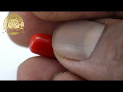 Exquisite Italian Red Coral 7.830ct - 8.604 Ratti | Lifetime Authenticity | Ratna Gems