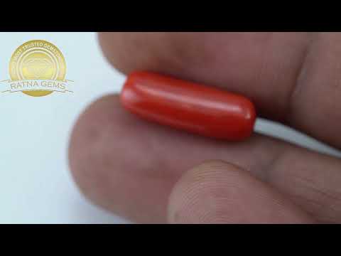 Italian Red Coral (Moonga) 6.16 Carat 6.77 Ratti Italian | Authentic Natural Gemstone | Ratna Gems