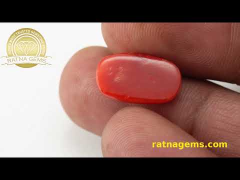 Premium Red Coral Oval 6.50ct - 7.14 Ratti | Certified Authenticity | Ratna Gems