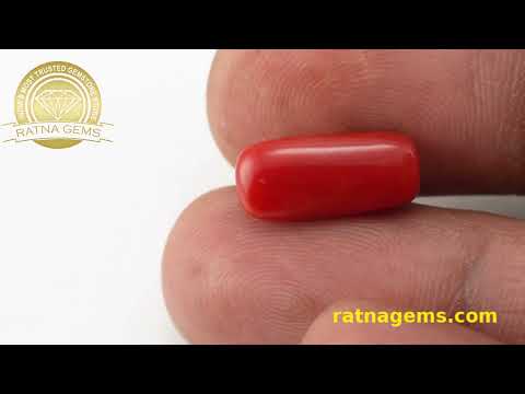 Classic Red Coral Oval 6.10ct - 6.70 Ratti | Elegant Gemstone | Ratna Gems