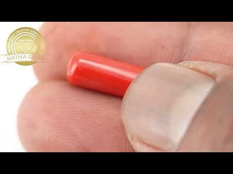 Refined Italian Red Coral 6.66ct - 7.32 Ratti | Lifetime Authenticity Guarantee | Ratna Gems