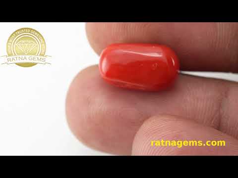 Timeless Red Coral Oval 6.37ct - 7.00 Ratti | Certified Authenticity | Ratna Gems