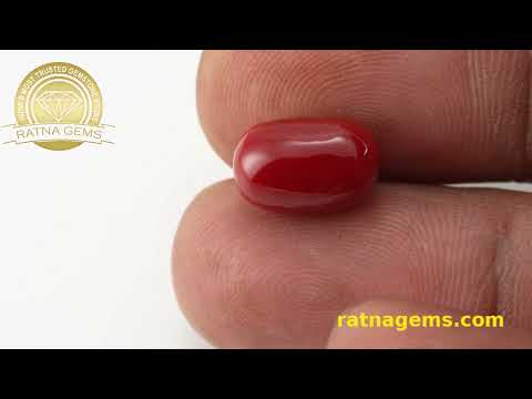 Elegant Red Coral Oval 5.51ct - 6.05 Ratti | Certified Authentic | Ratna Gems