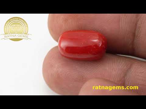 Exquisite Red Coral Oval 7.51ct - 8.25 Ratti | Authenticity Guaranteed | Ratna Gems