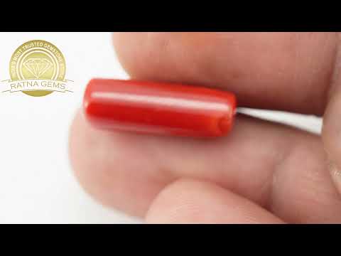 Luxurious Italian Red Coral 8.080ct - 8.879 Ratti | 7-Day Policy | Ratna Gems