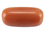 Red Coral (Moonga Stone)