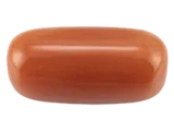 Red Coral (Moonga Stone)