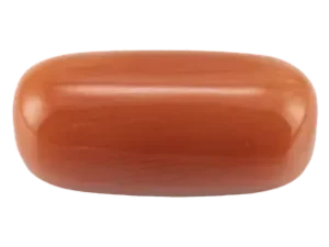 Red Coral (Moonga Stone)