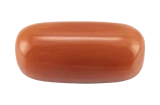 Red Coral (Moonga Stone)