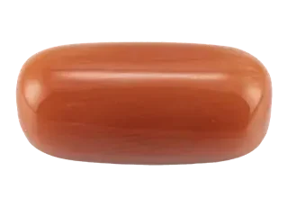 Red Coral (Moonga Stone)