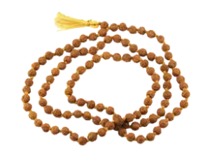 Original rudraksha mala 108 beads by Ratna Gems