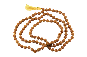 Rudraksha Beads (Mala) - Natural & Certified