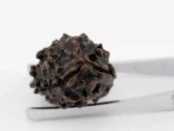 Premium 3 Mukhi Rudraksha (Nepali) 2.75 gms - Natural Treasure