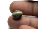 Catseye (Lahsuniya) 8.53 Carat/9.37 Ratti - Size Reference