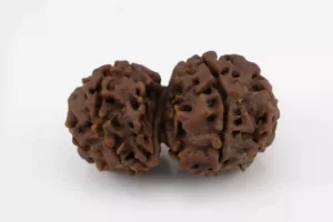 Premium Gouri Shankar Rudraksha (4.18 gms) from Nepal - Natural Treasure side