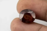 Hessonite (Gomed) 12.11 Carat / 13.31 Ratti - Size Reference