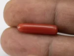Italian Red Coral (Moonga) 5.745 Carat / 6.313 Ratti - Size Reference
