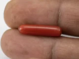Italian Red Coral (Moonga) 5.745 Carat / 6.313 Ratti - Size Reference