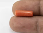Italian Red Coral (Moonga) 6.165 Carat / 6.77 Ratti - Size Reference