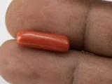 Natural Italian Red Coral (Moonga) 6.165 Carat / 6.77 Ratti - Capsule Shape - Size Reference
