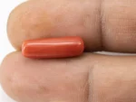 Natural Italian Red Coral (Moonga) 6.22 Carat / 6.83 Ratti - Capsule Shape - Size Reference