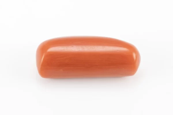 Natural Italian Red Coral (Moonga) 6.64 Carat / 7.30 Ratti - Capsule Shape - Front View