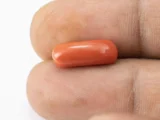 Natural Italian Red Coral (Moonga) 6.64 Carat / 7.30 Ratti - Capsule Shape - Size Reference