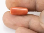 Natural Italian Red Coral (Moonga) 6.66 Carat / 7.32 Ratti - Capsule Shape - Size Reference