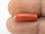 Natural Italian Red Coral (Moonga) 7.685 Carat / 8.445 Ratti - Capsule Shape - Size Reference
