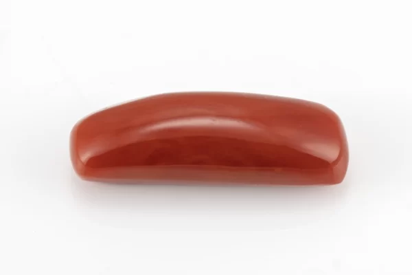 Natural Italian Red Coral (Moonga) 7.830 Carat / 8.604 Ratti - Capsule Shape - Front View